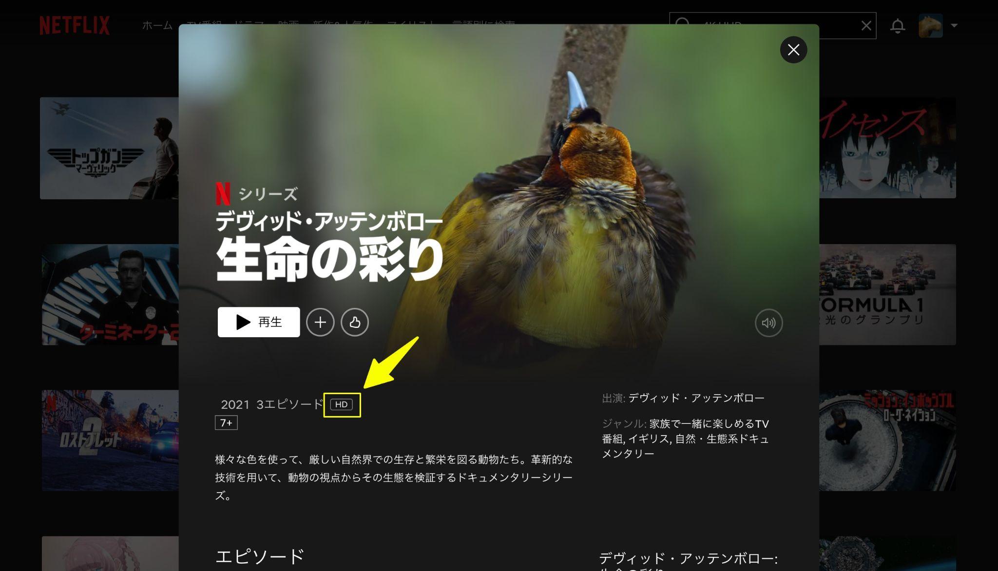 netflix 4k