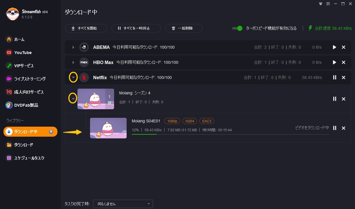 netflix video downloader