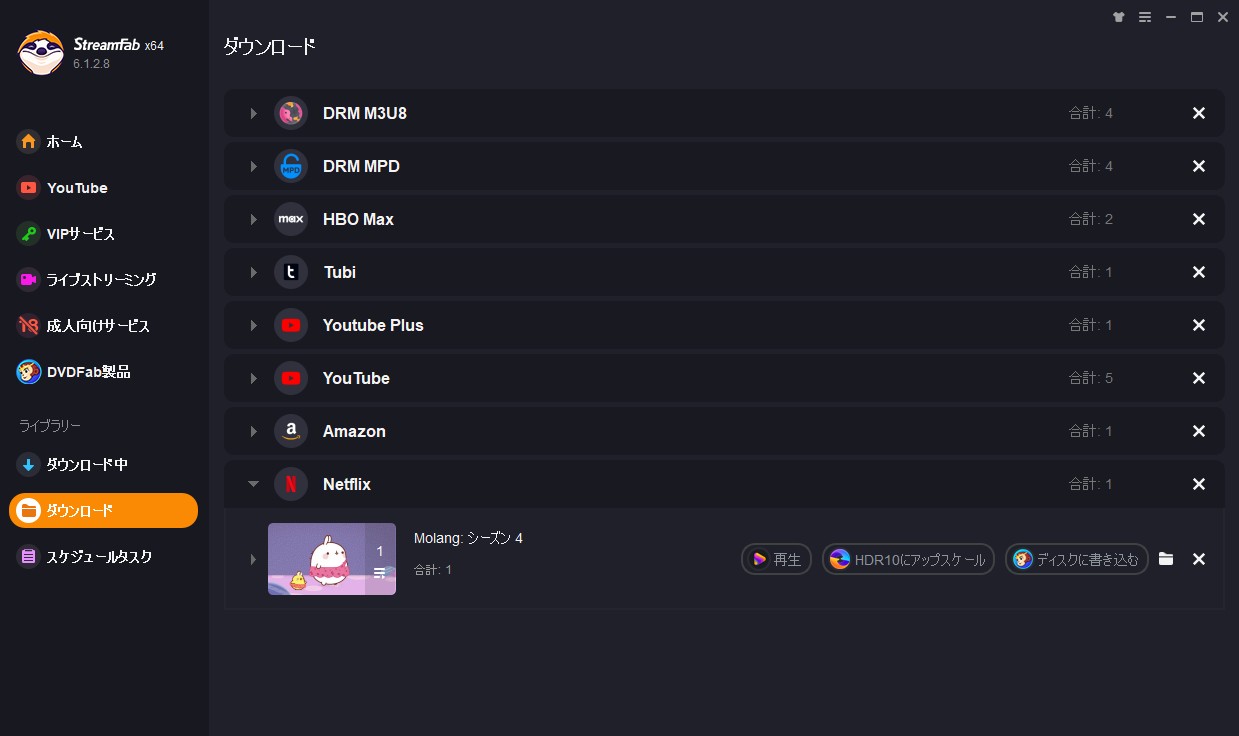 netflix video downloader