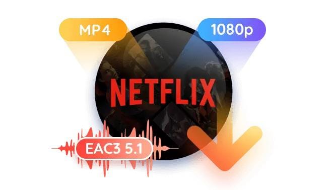 netflix party