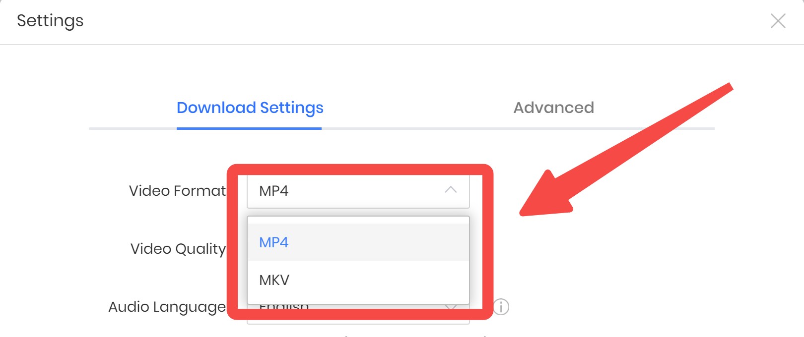 DispCam review: output formats
