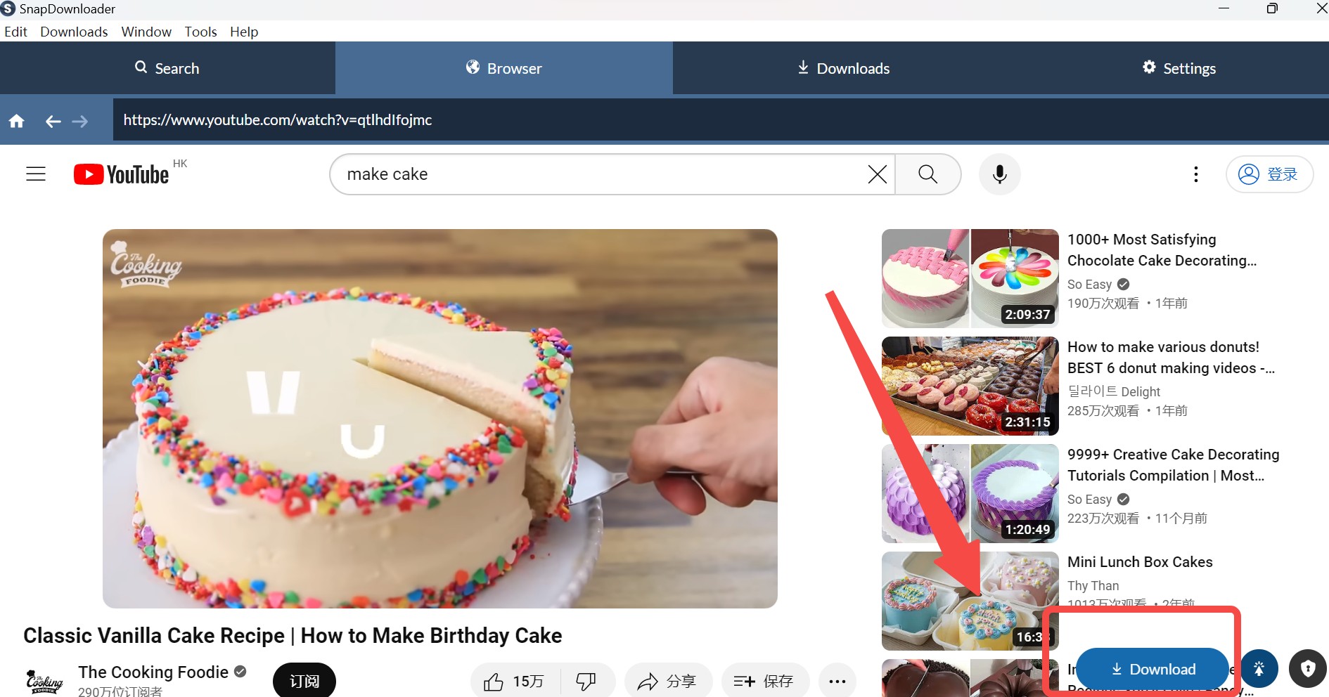 SnapDownloader Review: how to use step 2