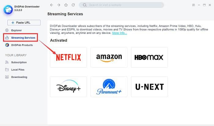 Netflix downloader to download movies from Netflix