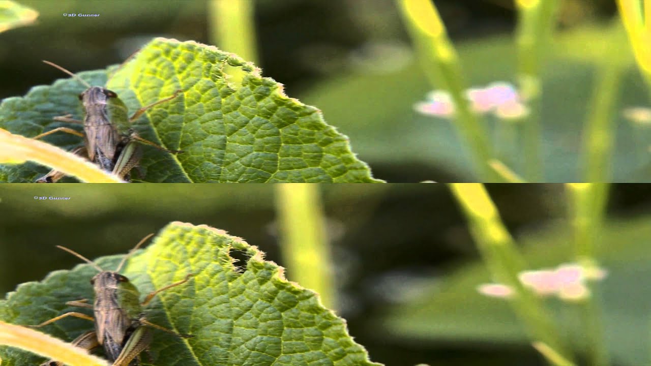 Top/Bottom 3D (Over/Under) einfach erklärt