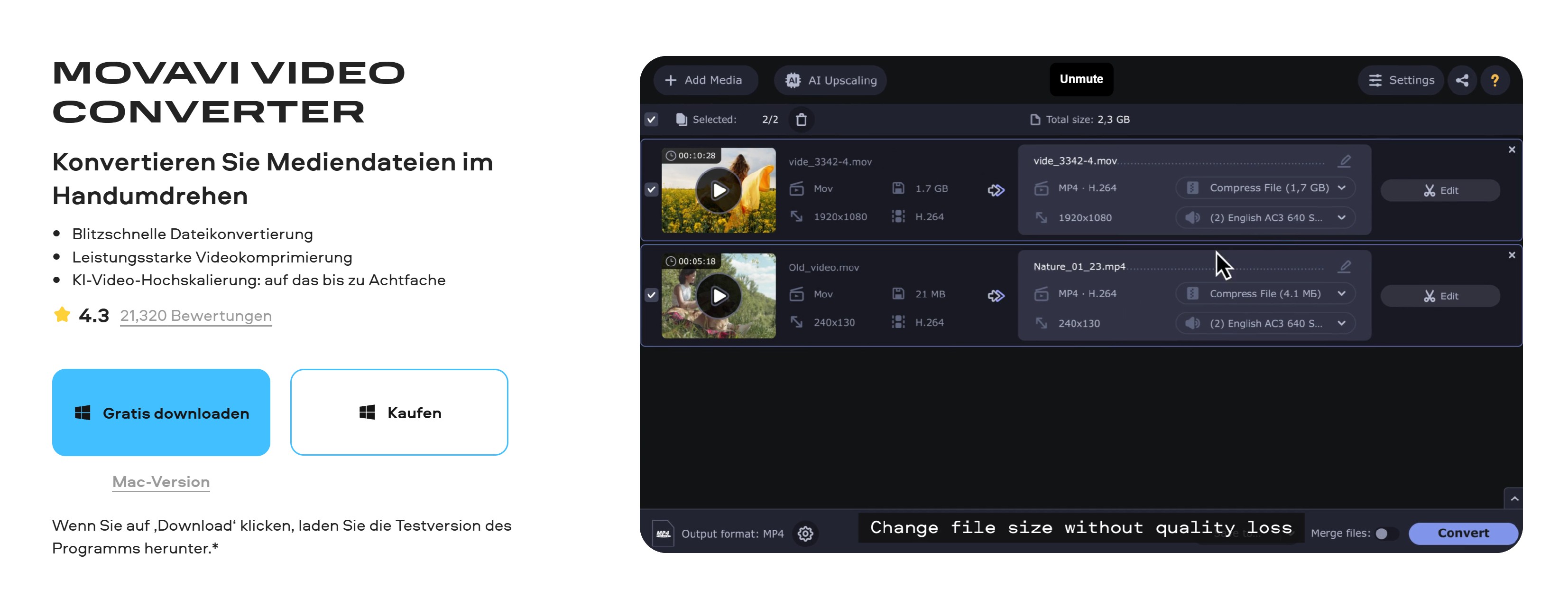 Movavi Video Converter