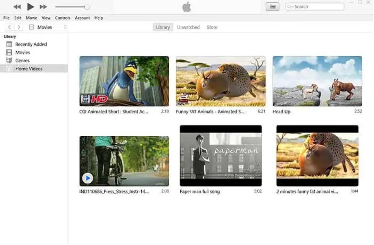 Weitere Methoden zum Übertragen konvertierter DVD-Filme auf das iPad