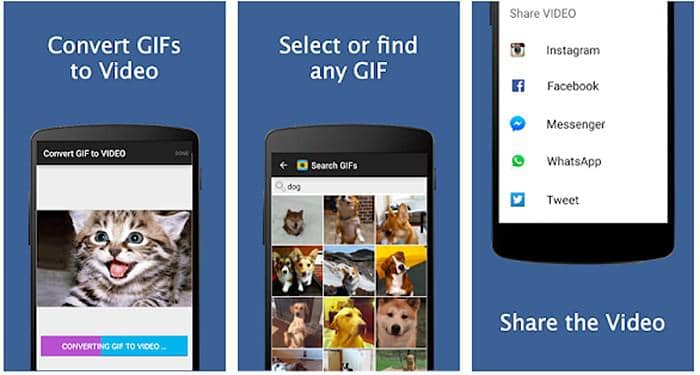 Gif to video converters app