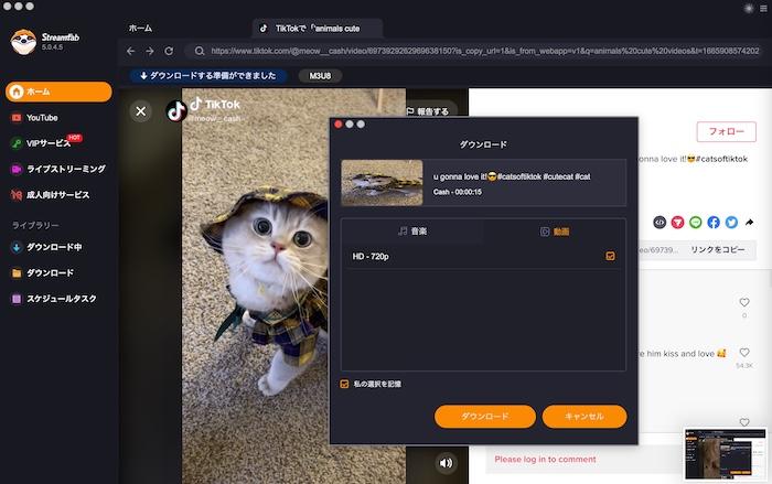 tiktok downloader