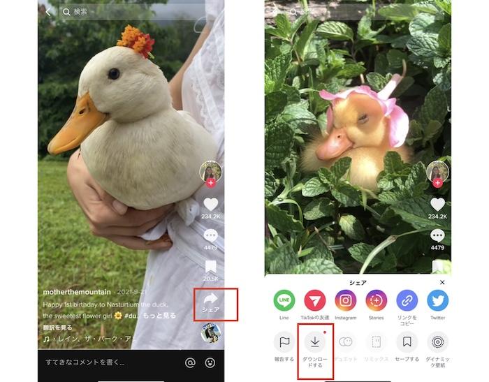 tiktok 保存