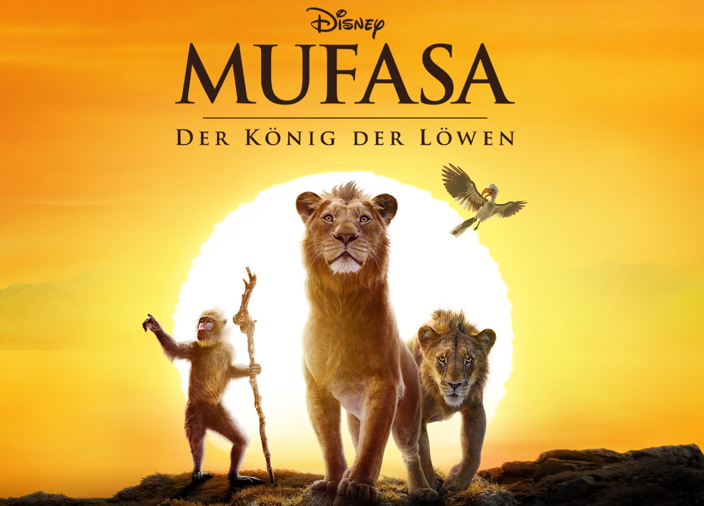 Disney-DVD: Mufasa-Der König der Löwen