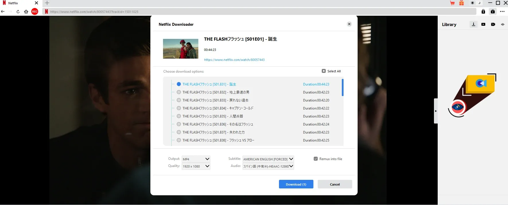 Filme von Netflix auf meinen Laptop herunterladen