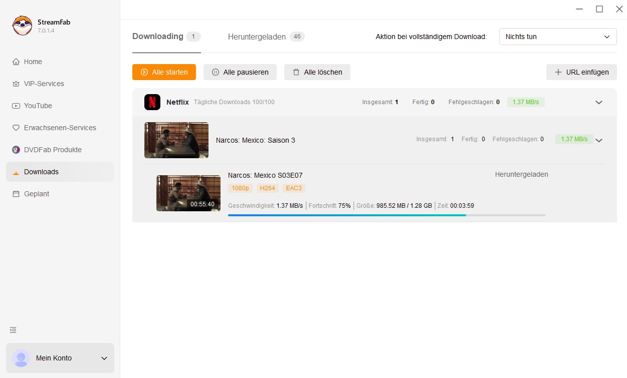 Netflix Filme Downloaden mit wenigen Klicks beim StreamFab Netflix Downloader