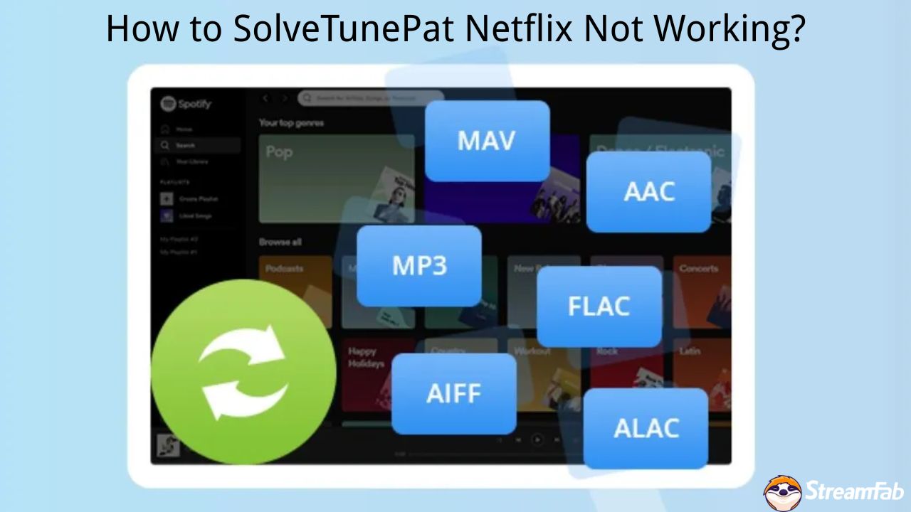 How to Solve the TunePat Netflix Not Working in 2025?