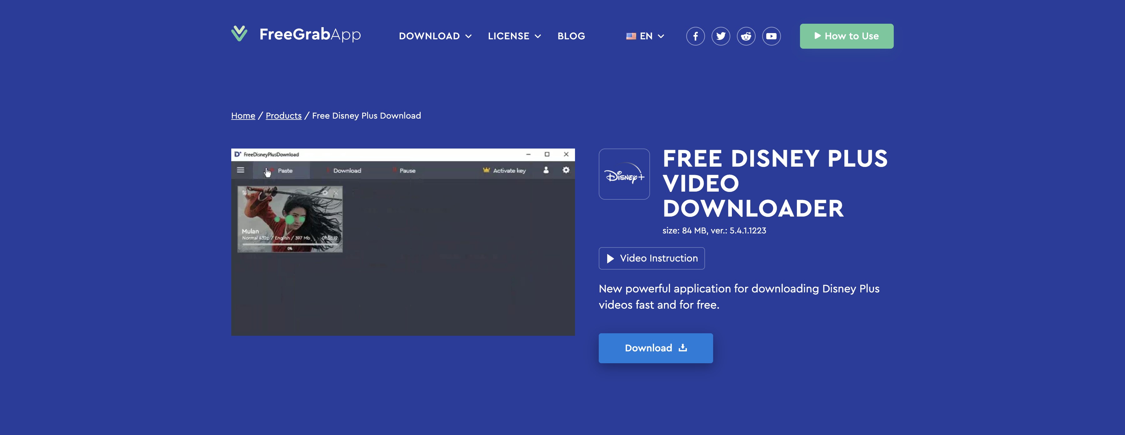 最佳 disney+ 下載器：freegrab