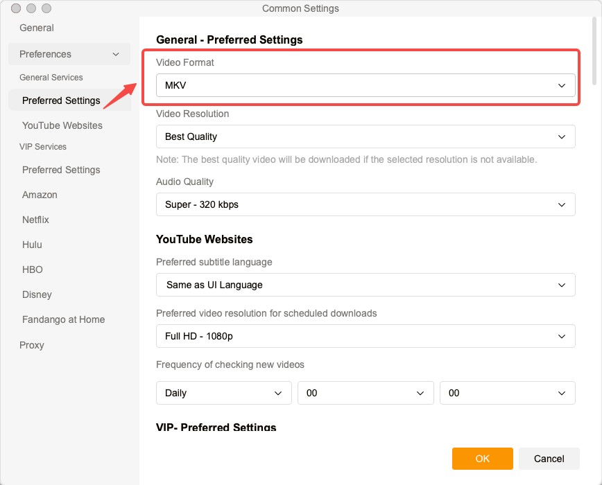 download mkv movies: streamfab step 2