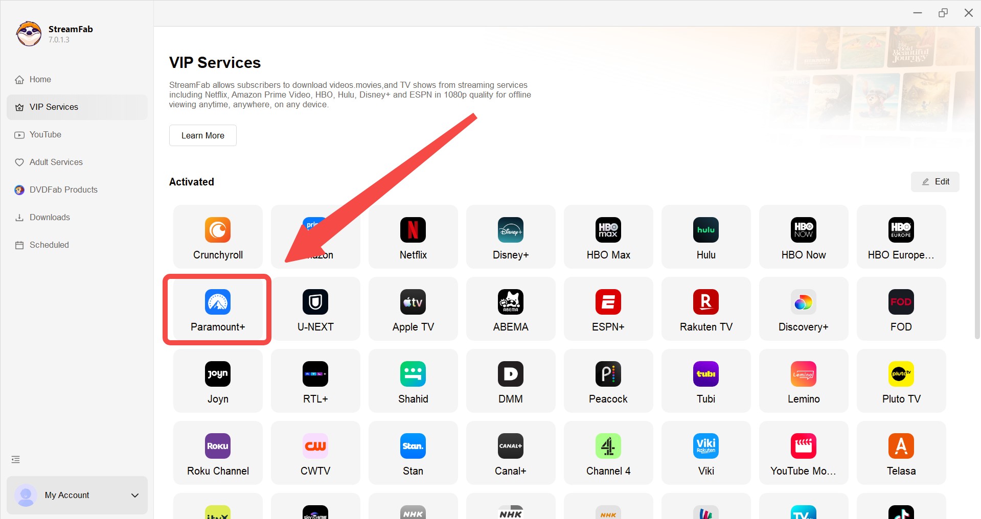 cannot watch paramount plus offline: streamfab usage step 2